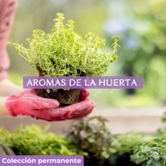 Aromas de la Huerta