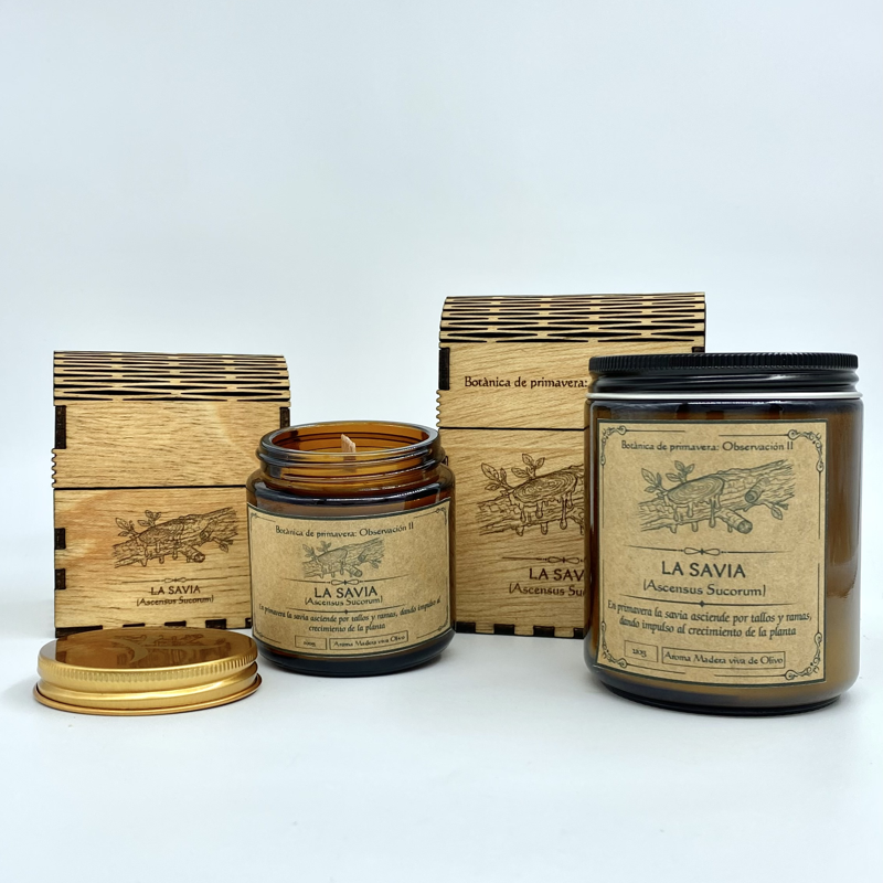 Observación II - La Savia