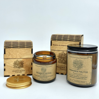 Obsevación IV - Primeros Frutos