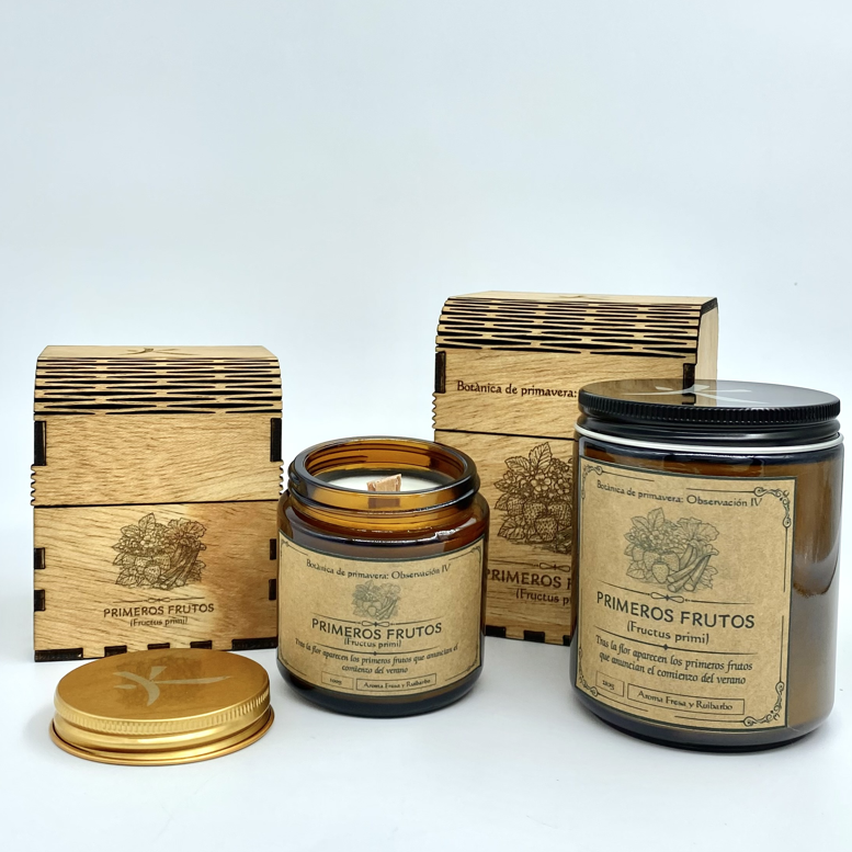 Obsevación IV - Primeros Frutos