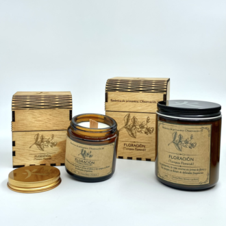 Observación III - Floración