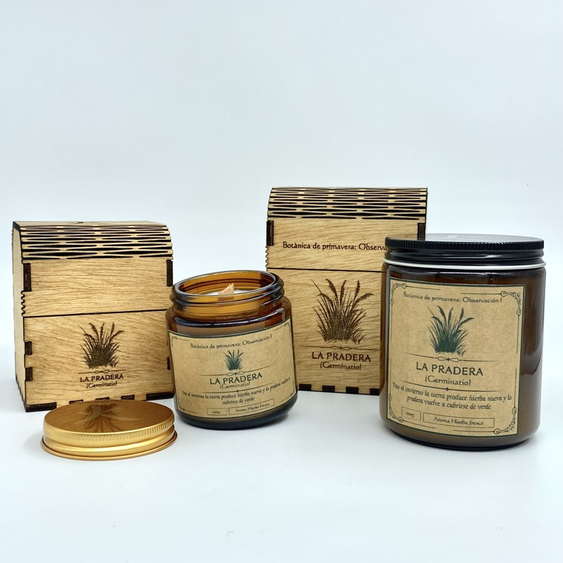 Observación I - La Pradera